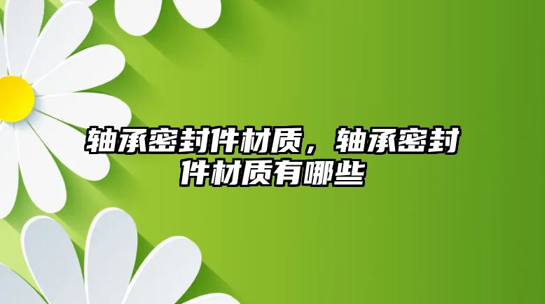 軸承密封件材質(zhì)，軸承密封件材質(zhì)有哪些