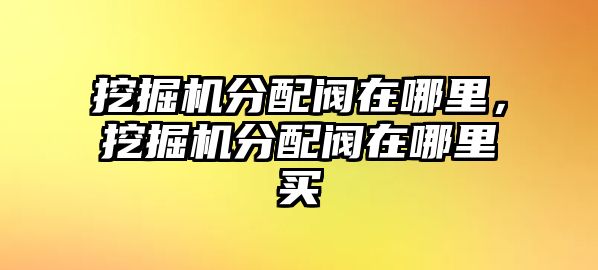 挖掘機分配閥在哪里，挖掘機分配閥在哪里買