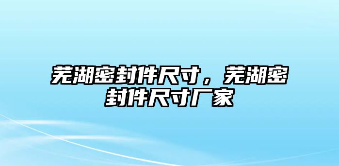 蕪湖密封件尺寸，蕪湖密封件尺寸廠家