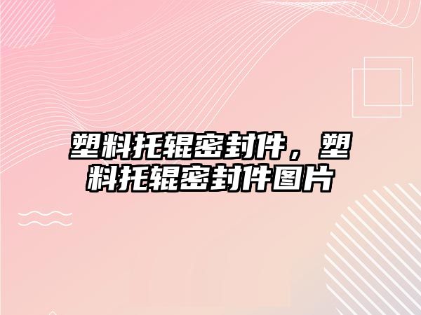 塑料托輥密封件，塑料托輥密封件圖片