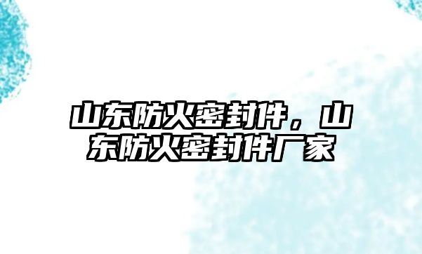 山東防火密封件，山東防火密封件廠家