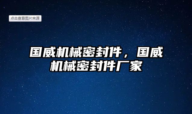 國威機(jī)械密封件，國威機(jī)械密封件廠家