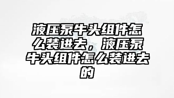 液壓泵牛頭組件怎么裝進去，液壓泵牛頭組件怎么裝進去的