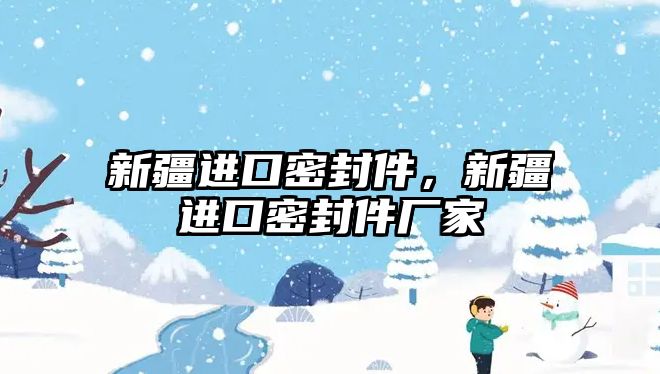 新疆進口密封件，新疆進口密封件廠家