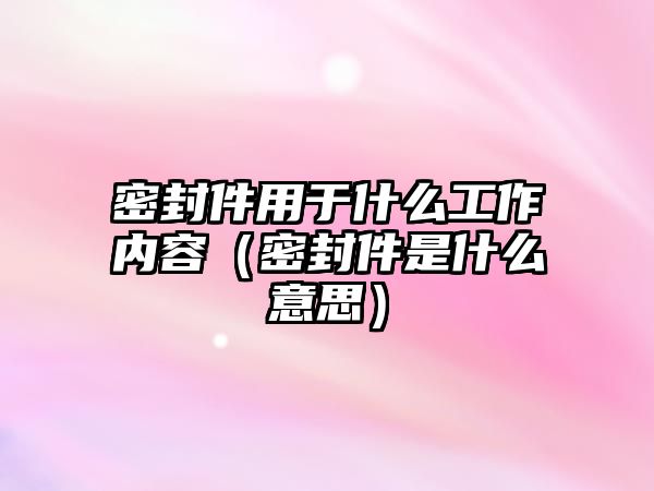 密封件用于什么工作內(nèi)容（密封件是什么意思）