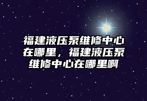 福建液壓泵維修中心在哪里，福建液壓泵維修中心在哪里啊