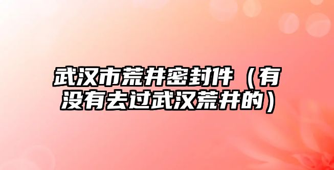 武漢市荒井密封件（有沒有去過武漢荒井的）