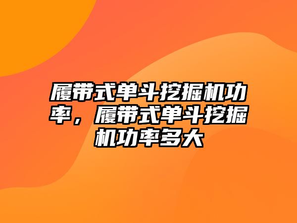 履帶式單斗挖掘機功率，履帶式單斗挖掘機功率多大