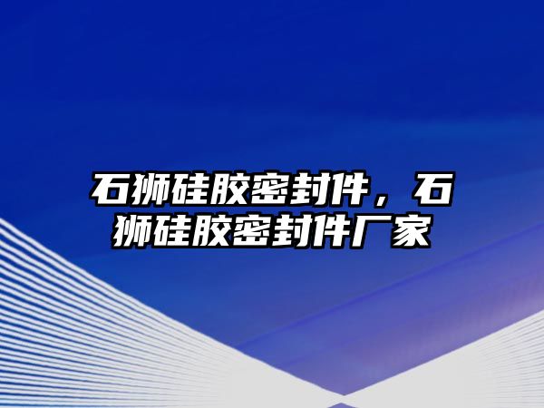 石獅硅膠密封件，石獅硅膠密封件廠家