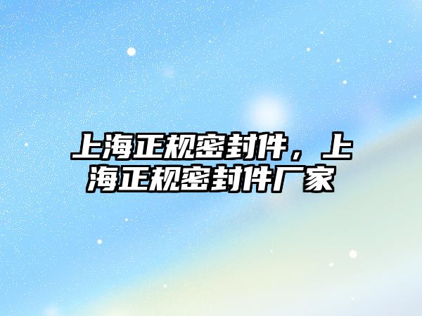 上海正規(guī)密封件，上海正規(guī)密封件廠家