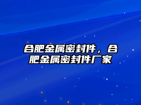 合肥金屬密封件，合肥金屬密封件廠家