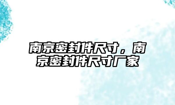 南京密封件尺寸，南京密封件尺寸廠家