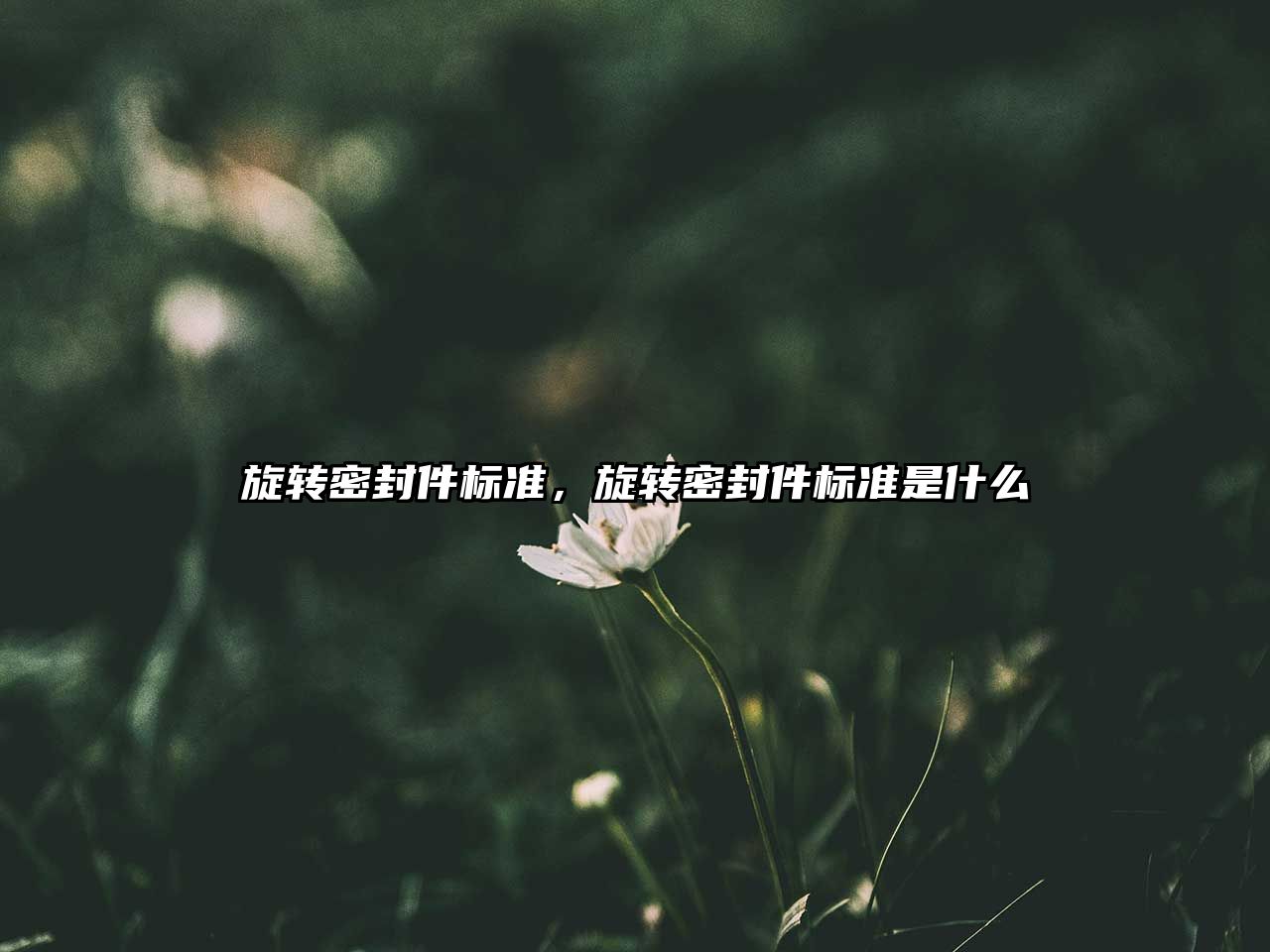 旋轉(zhuǎn)密封件標準，旋轉(zhuǎn)密封件標準是什么