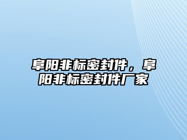 阜陽非標密封件，阜陽非標密封件廠家