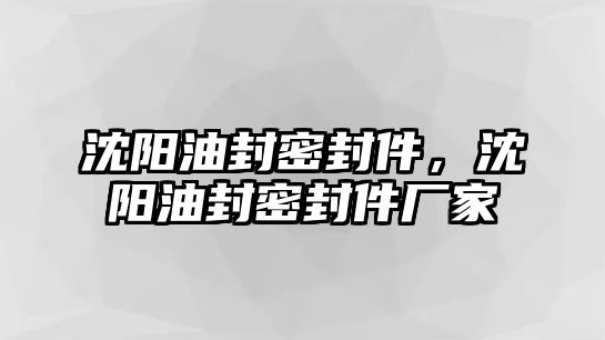 沈陽油封密封件，沈陽油封密封件廠家