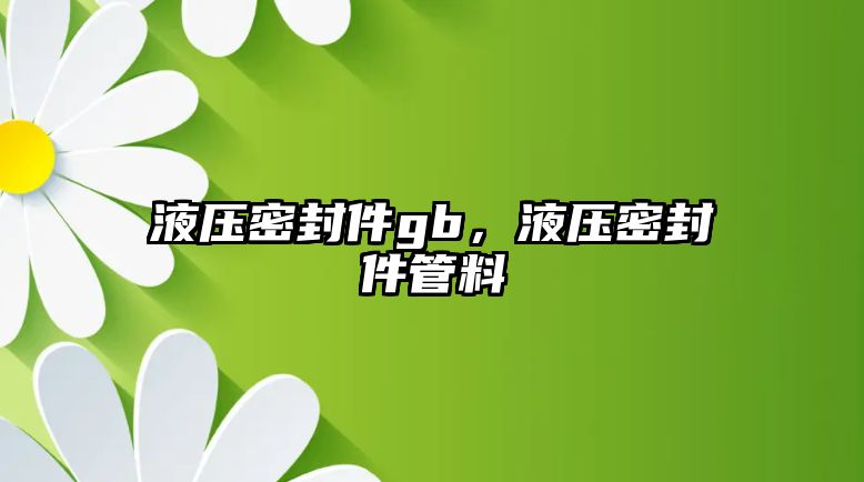 液壓密封件gb，液壓密封件管料