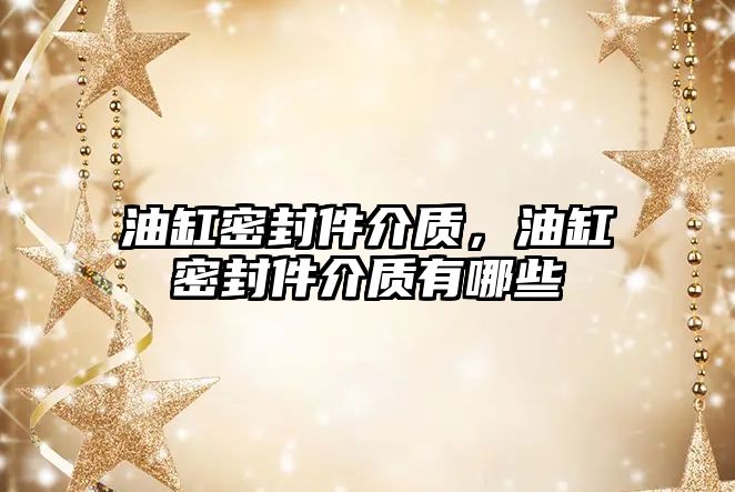 油缸密封件介質，油缸密封件介質有哪些