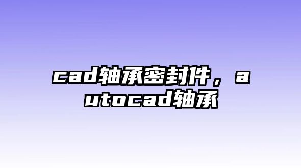 cad軸承密封件，autocad軸承